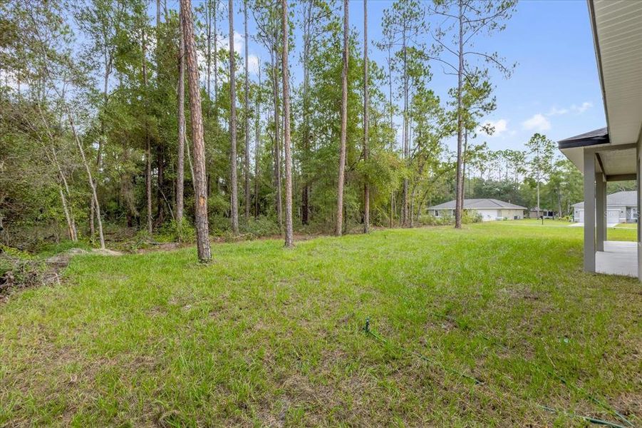 Natural landscape and outdoor views near  in Citrus Springs (Image 26).