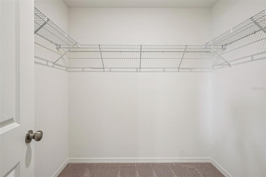 Spacious, unfurnished interior of a new home in Eagle Hammock, Eagle Lake (Image 24).