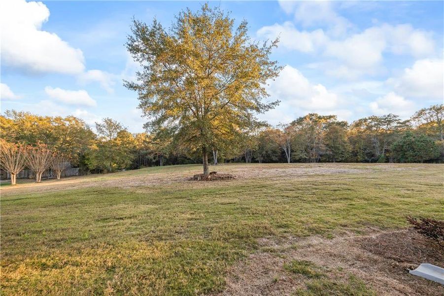 Natural landscape and outdoor views near  in Monroe (Image 60).