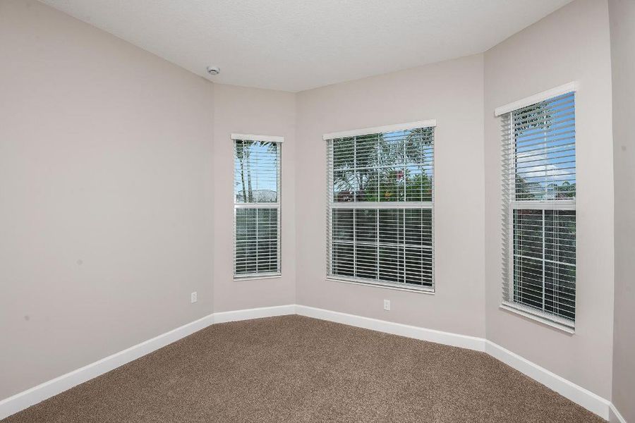 Lot-397-Marlberry-13861-Prickly-Cone-Cov Lot-397-Marlberry-13861-Prickly-Cone-Cov