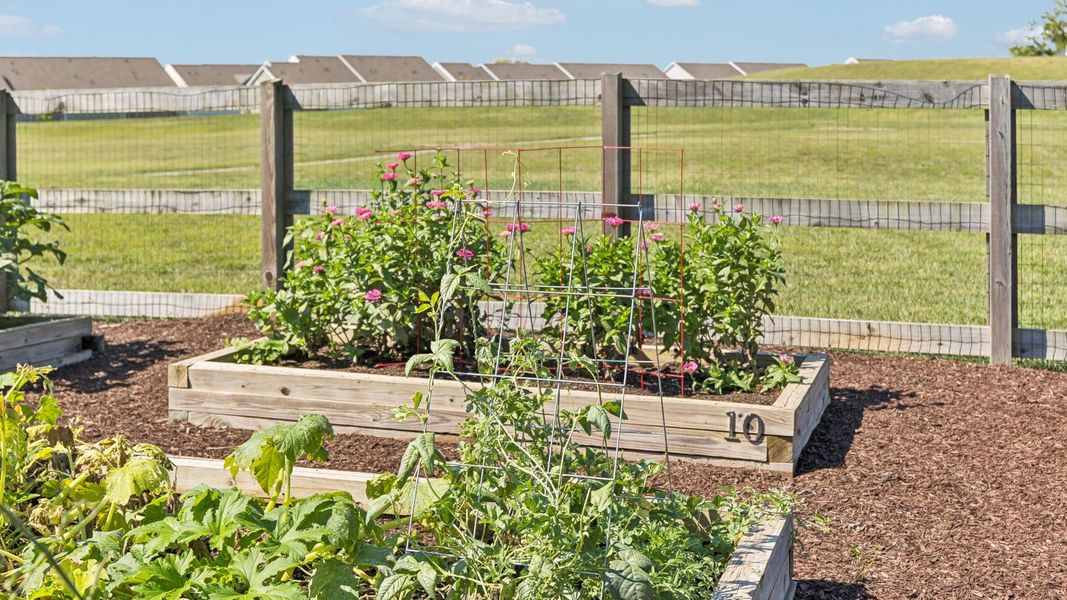 Image 17 representing the BRYAN A by D.R. Horton in Harvest Point, Spring Hill, TN.