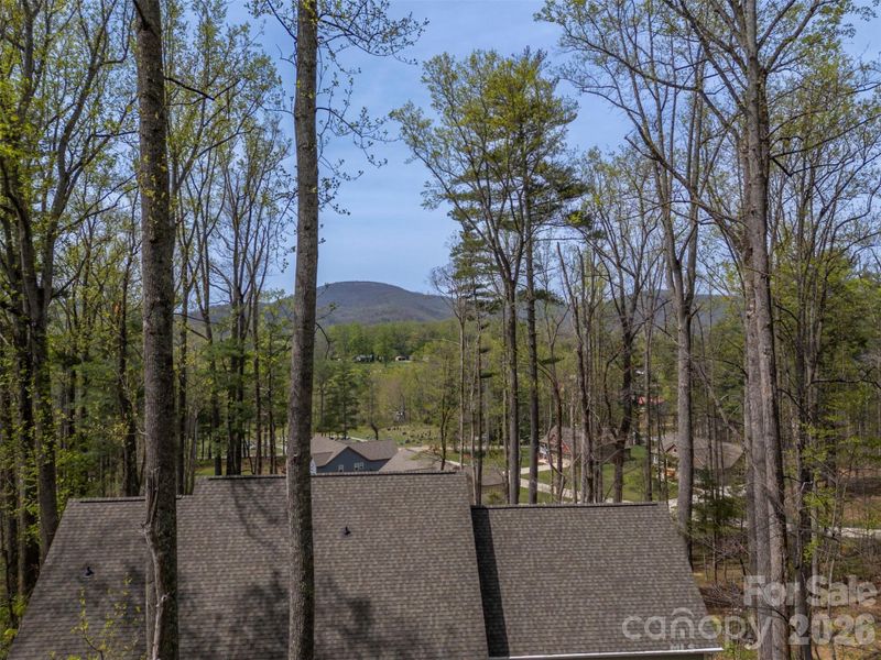 Natural landscape and outdoor views near in Hendersonville (Image 41). Natural landscape and outdoor views near in Hendersonville (Image 41).