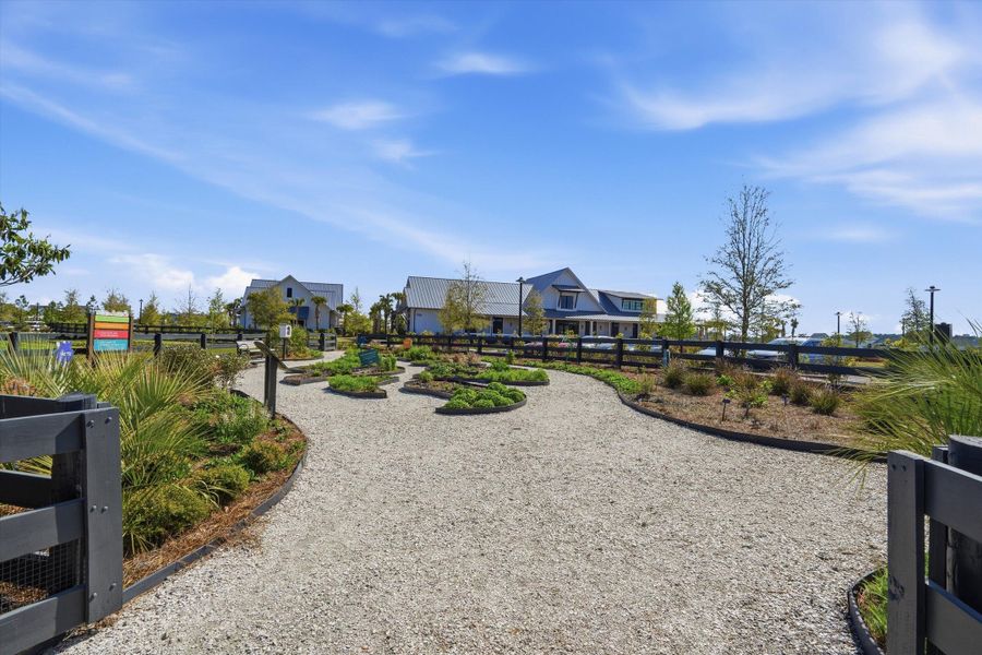 Community amenities in Horizons at Carnes Crossroads | 55+, Summerville (Image 37).