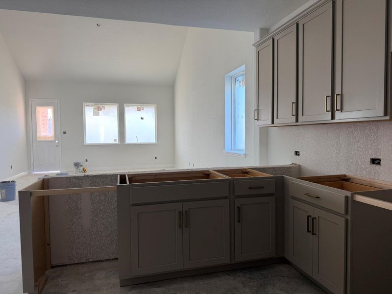 Actual progress of your home