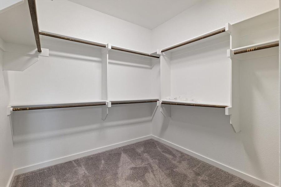 Spacious closet with carpet floors Spacious closet with carpet floors