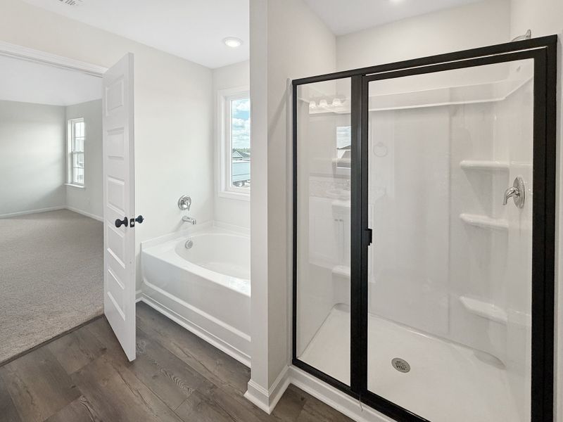 Furnished interior view inside a new home in The Village at Sassafras, Allenhurst (Image 11).