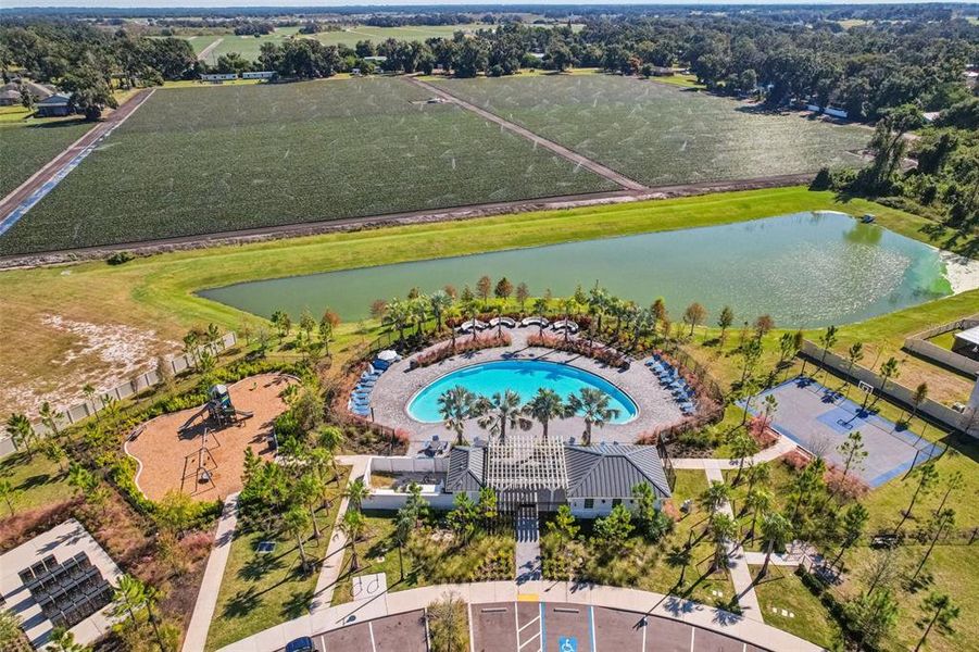 Community amenities in Park East: The Manors, Plant City (Image 55). Community amenities in Park East: The Manors, Plant City (Image 55).