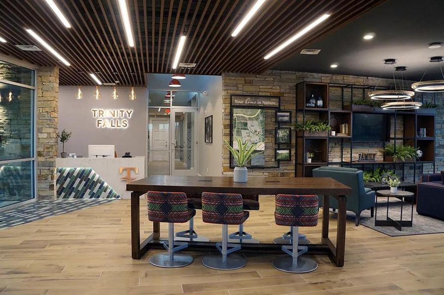 Community amenities in Trinity Falls 60, McKinney (Image 21).