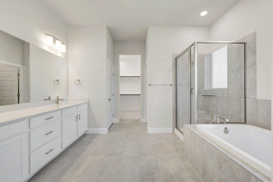 Owner's Bathroom