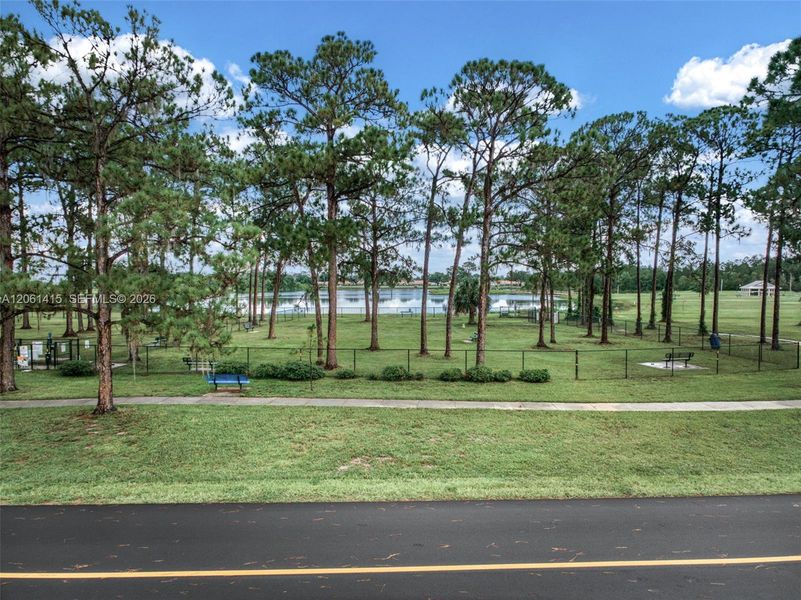 Natural landscape and outdoor views near in Sebring (Image 41). Natural landscape and outdoor views near in Sebring (Image 41).