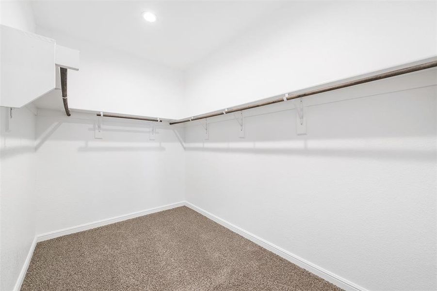 Walk in closet featuring carpet floors