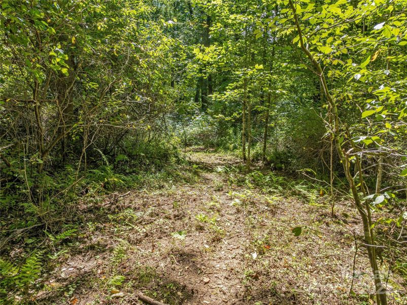 Natural landscape and outdoor views near  in Arden (Image 31).
