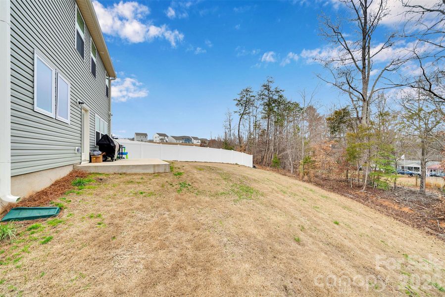 Side View of Back Yard