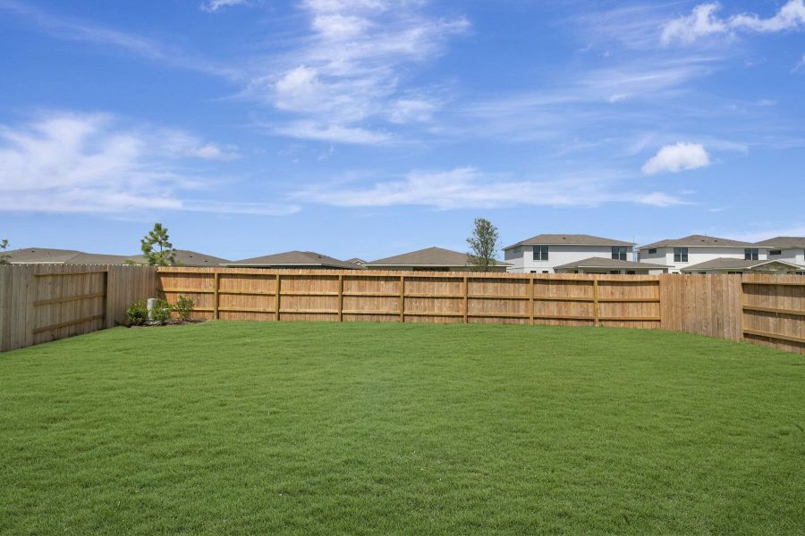 Backyard