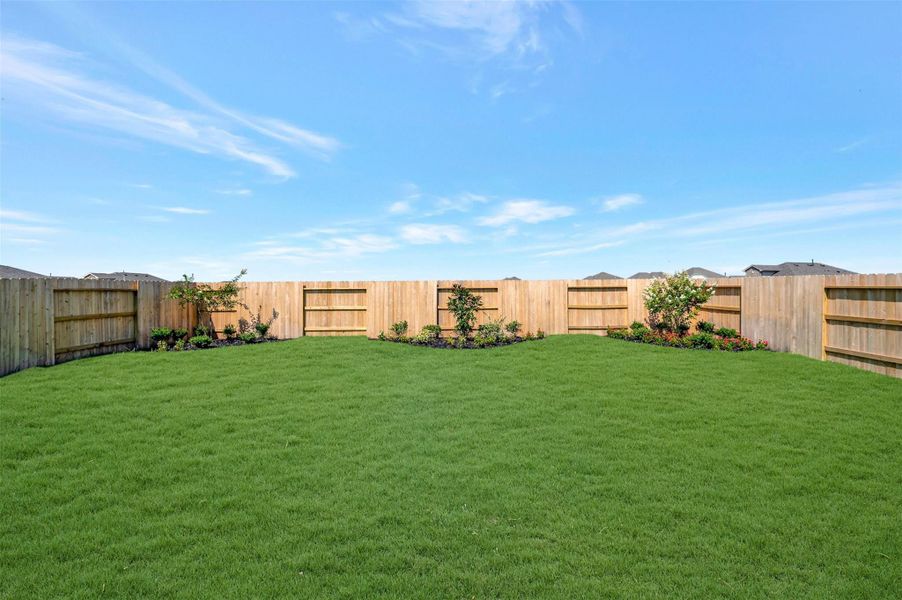 Lush landscaping in the backyard