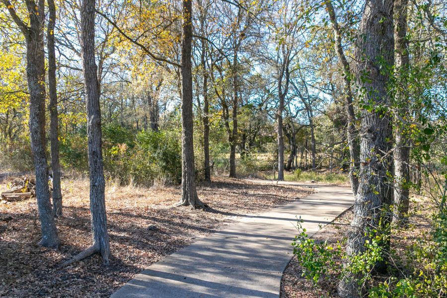 Natural landscape and outdoor views near The Colony in Bastrop (Image 17).