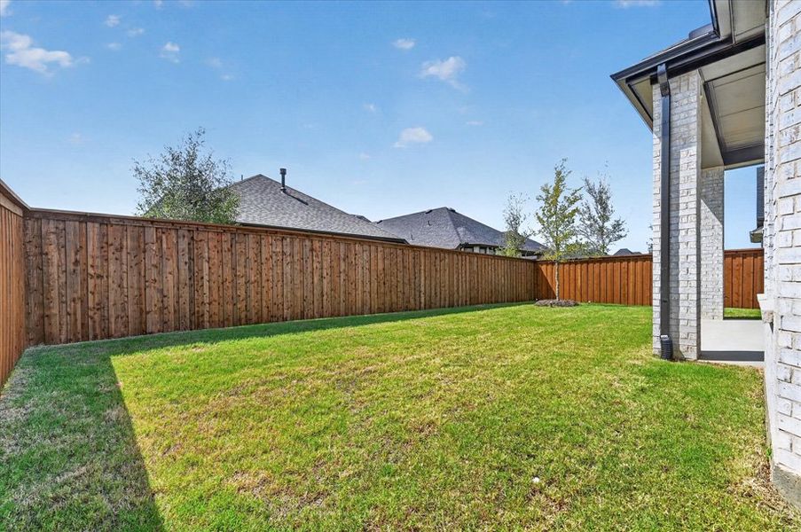Backyard