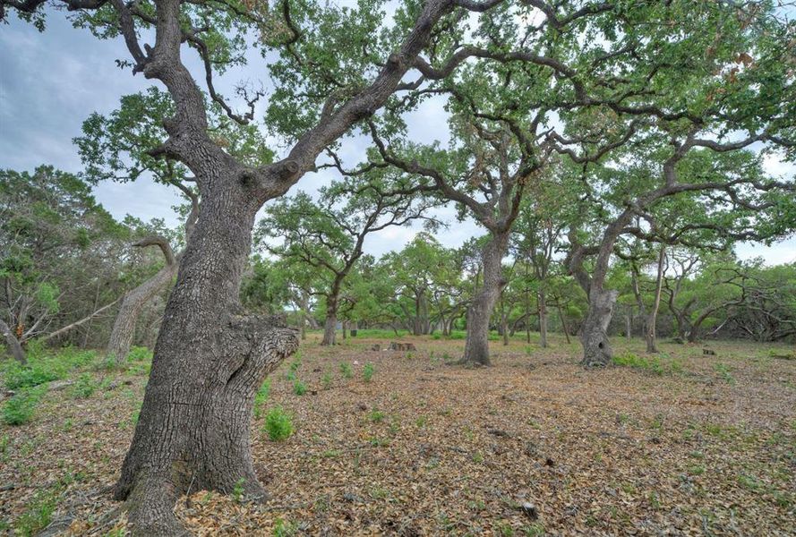 Natural landscape and outdoor views near in Austin (Image 22). Natural landscape and outdoor views near in Austin (Image 22).