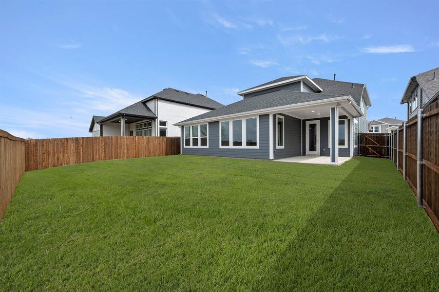 1725 Nesting Robin- Back-4708