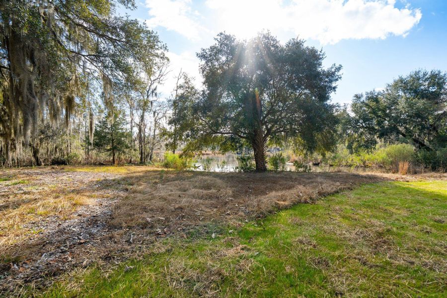Natural landscape and outdoor views near in Johns Island (Image 75). Natural landscape and outdoor views near in Johns Island (Image 75).