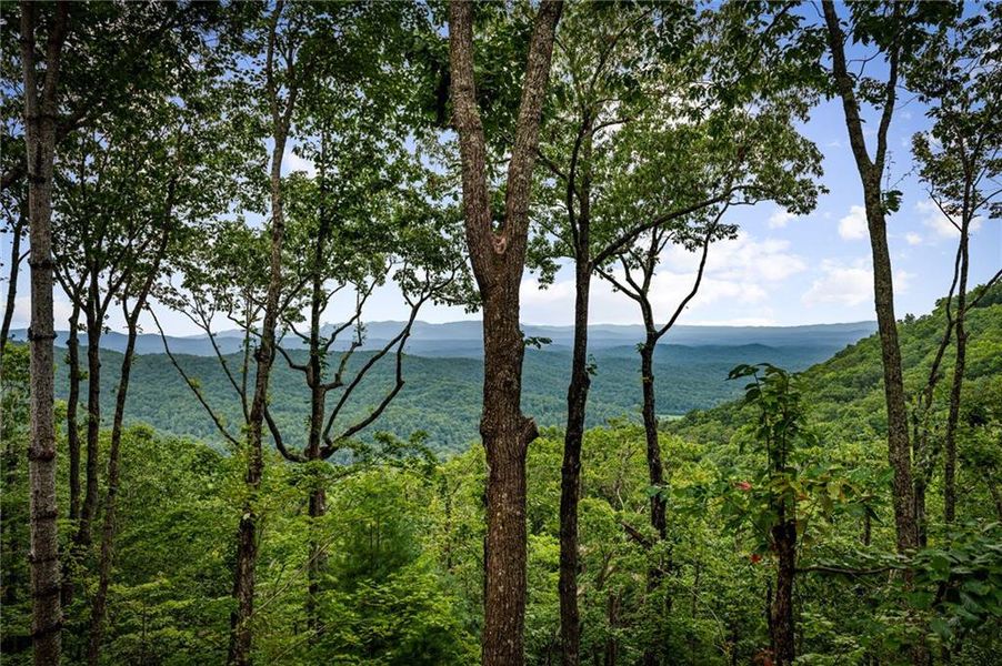 Natural landscape and outdoor views near  in Ellijay (Image 49).
