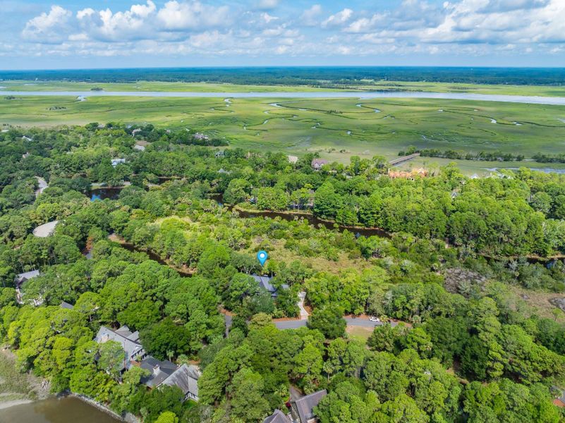 Natural landscape and outdoor views near  in Kiawah Island (Image 71).