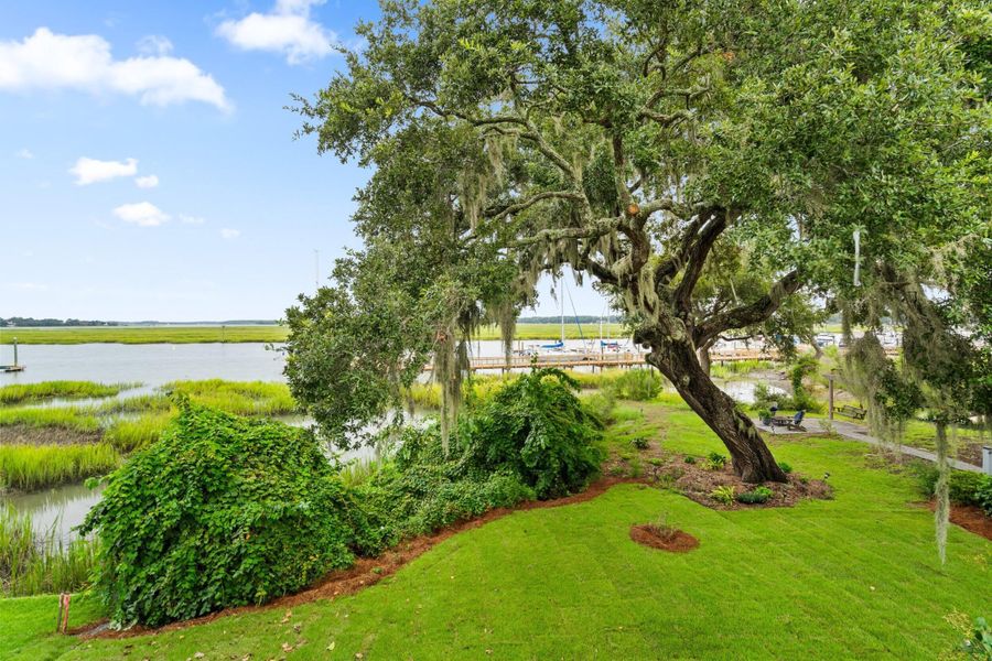 Natural landscape and outdoor views near in Beaufort (Image 54). Natural landscape and outdoor views near in Beaufort (Image 54).