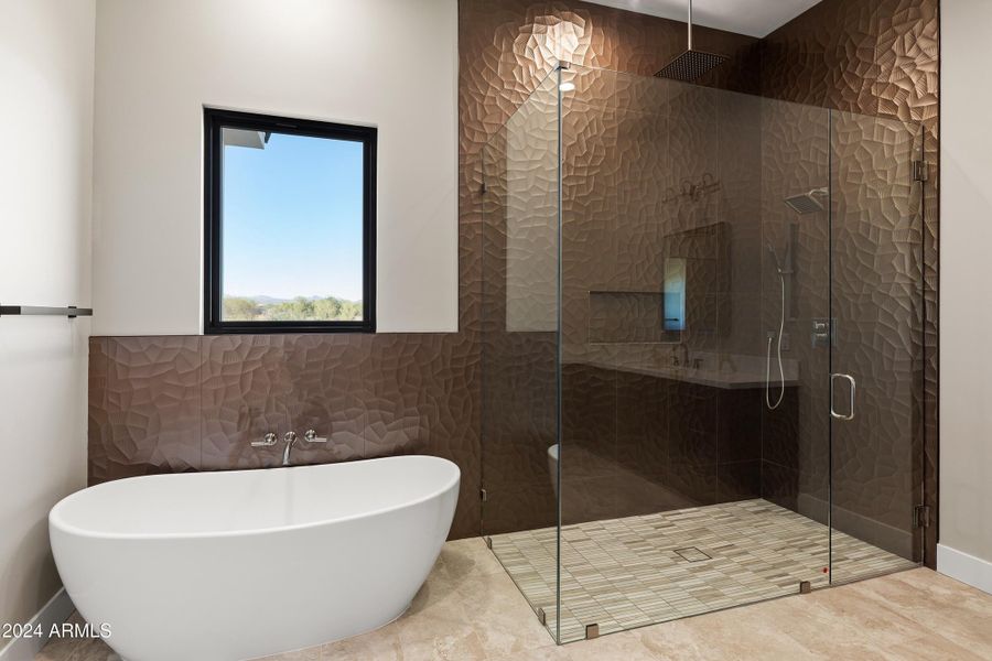 Soaking Tub and Shower