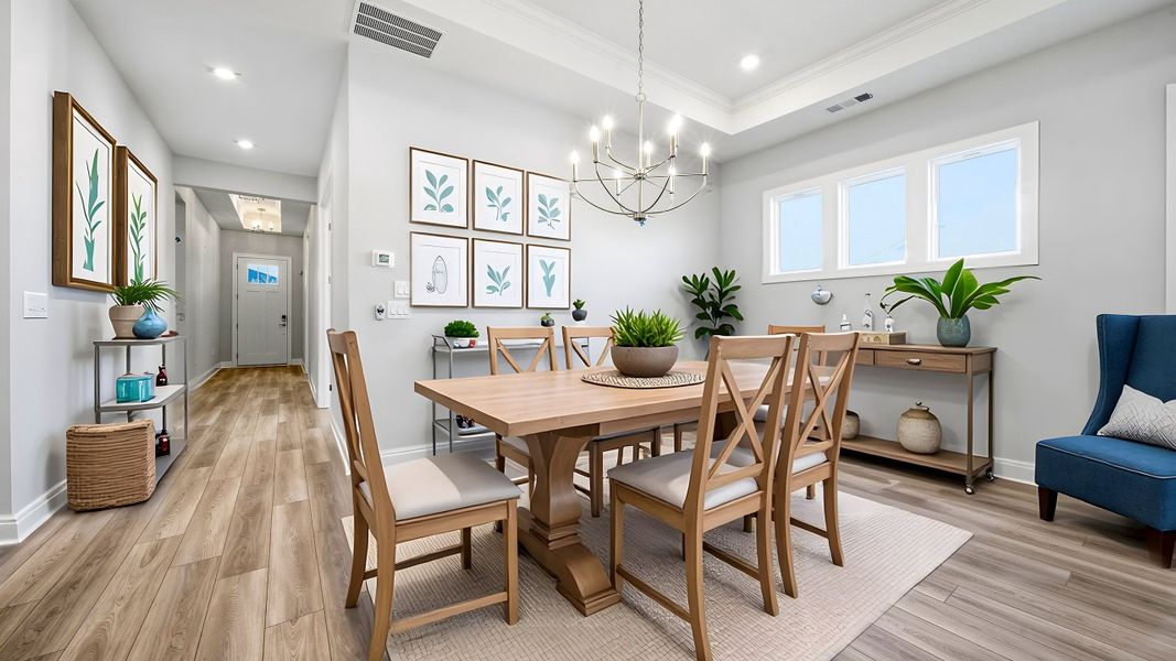 Staged Photo Used for Reference