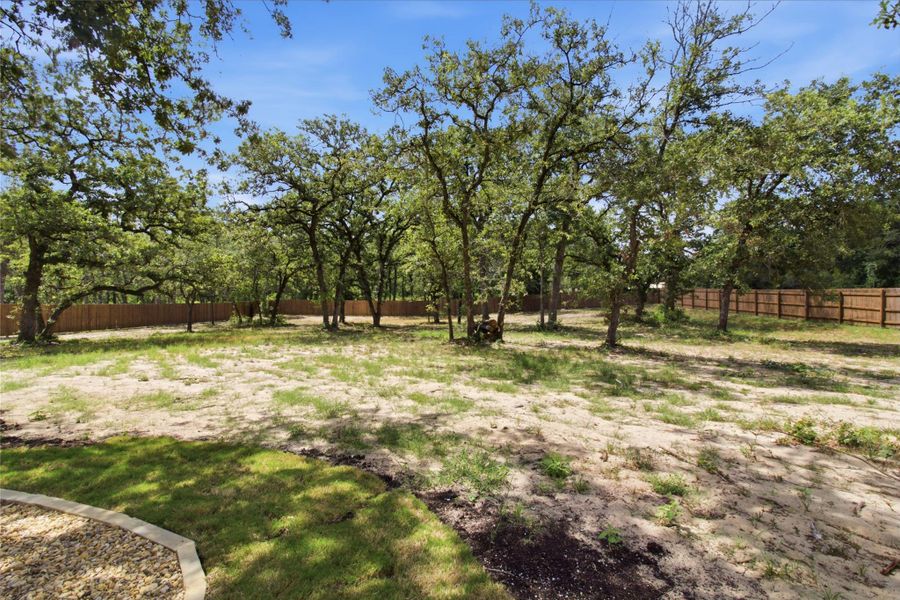 Mature trees and ample space for outdoor living define this sizable yard. Mature trees and ample space for outdoor living define this sizable yard.