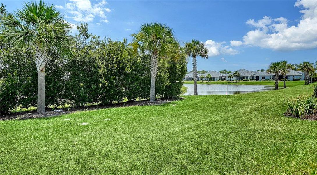 Natural landscape and outdoor views near Windward in Lakewood Ranch (Image 40).