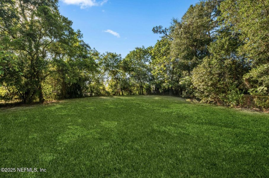 Natural landscape and outdoor views near  in Jacksonville (Image 22).