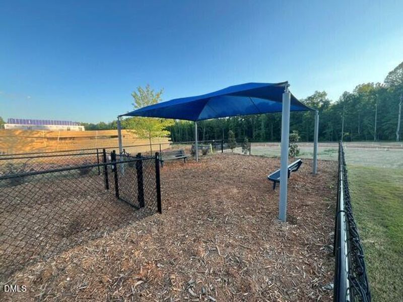 Dog park 2 Dog park 2