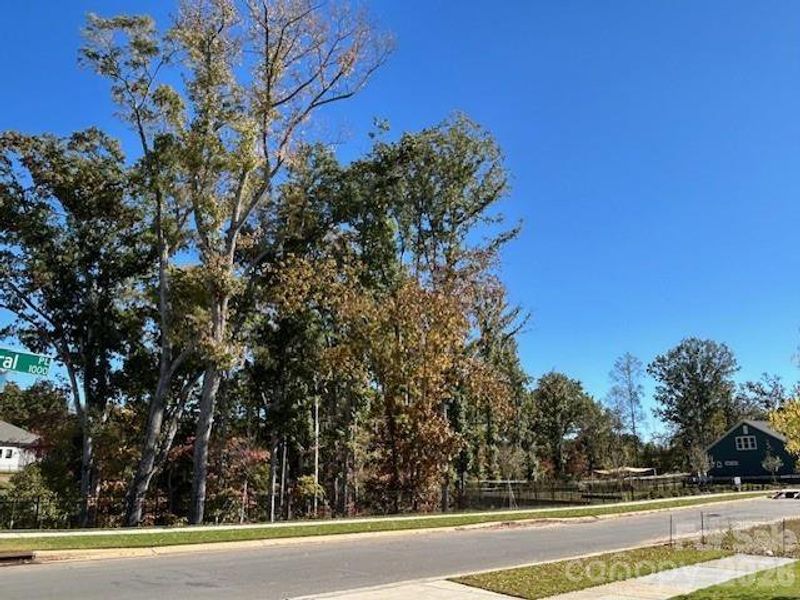 VIEW FROM THE FRONT PORCH WILL NOT CHANGE AS IT IS A DESIGNATED AREA