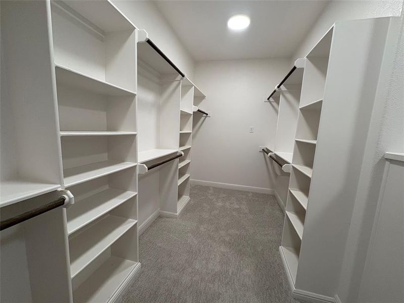 Walk in closet with light colored carpet