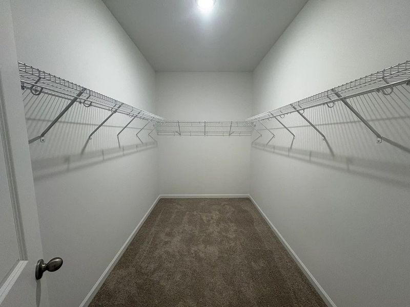 Primary Walk-In - Organized elegance with polished appeal.