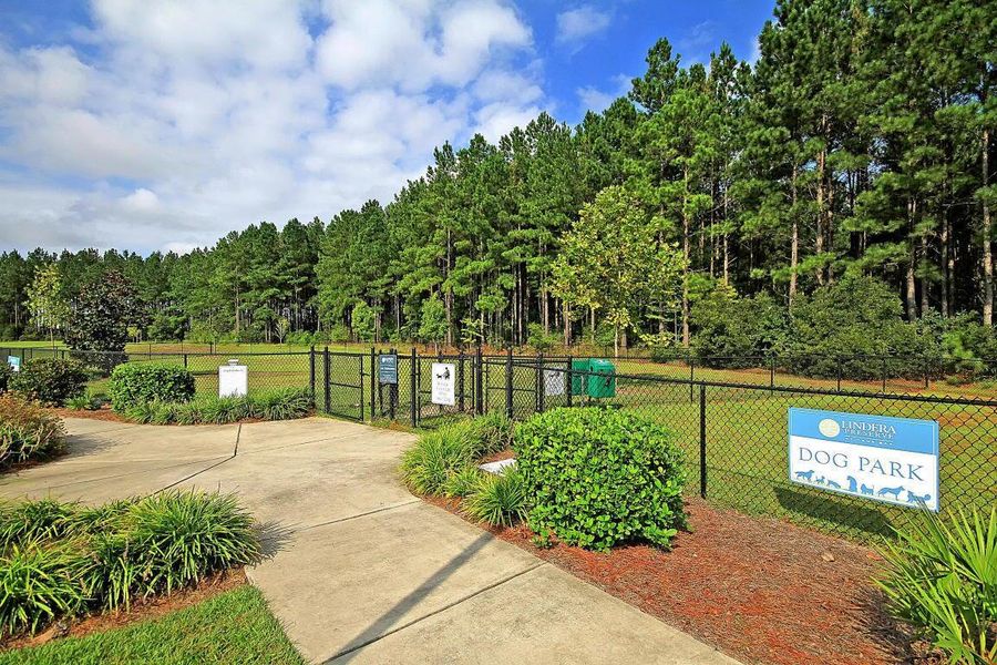 Community amenities in Lindera Preserve at Cane Bay Plantation, Summerville (Image 36).