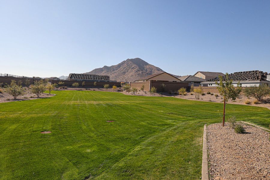 Image 50 representing the Sepia by Mattamy Homes in Pinnacle at San Tan Heights, San Tan Valley, AZ.