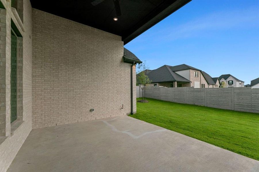 DAL_Painted Tree_Haskell II_4005 Gervais Drive (30)