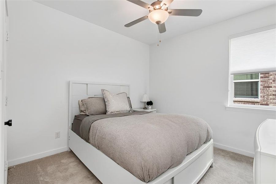 This room features a ceiling fan with integrated lighting, a window with a white blind, and neutral-toned carpeting