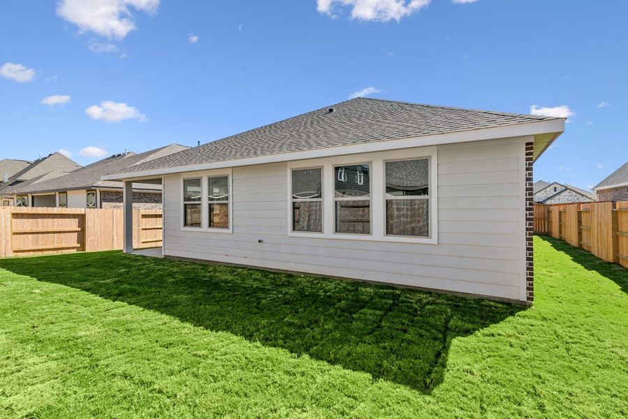 Peaceful backyard Peaceful backyard