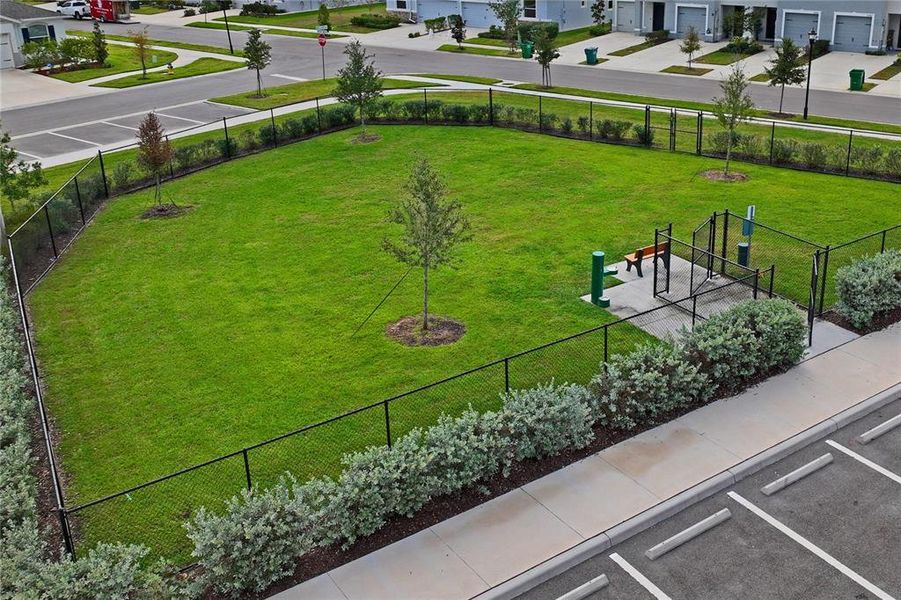 Community amenities in Towns at Woodsdale, Wesley Chapel (Image 40).