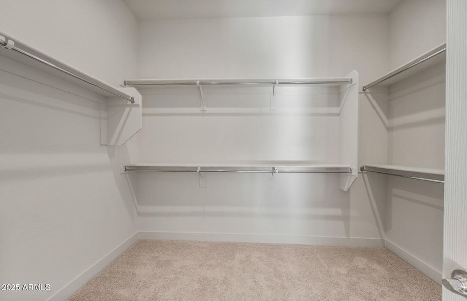 Owner's Closet Owner's Closet