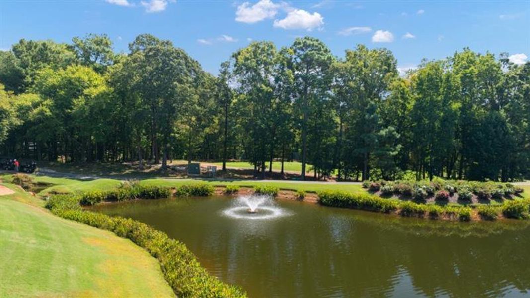 Natural landscape and outdoor views near Oconee Overlook in Gainesville (Image 52). Natural landscape and outdoor views near Oconee Overlook in Gainesville (Image 52).
