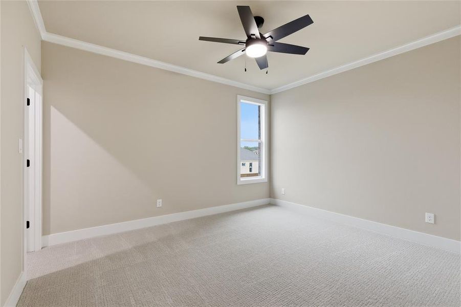 Carpeted room featuring a single window, crown molding, and a ceiling fan with integrated lighting Carpeted room featuring a single window, crown molding, and a ceiling fan with integrated lighting