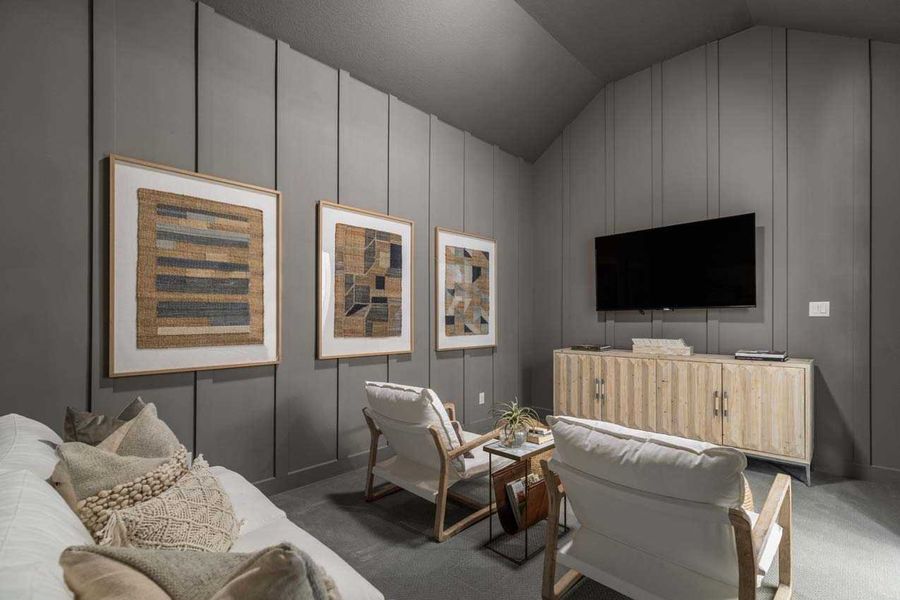 Entertainment Room Entertainment Room