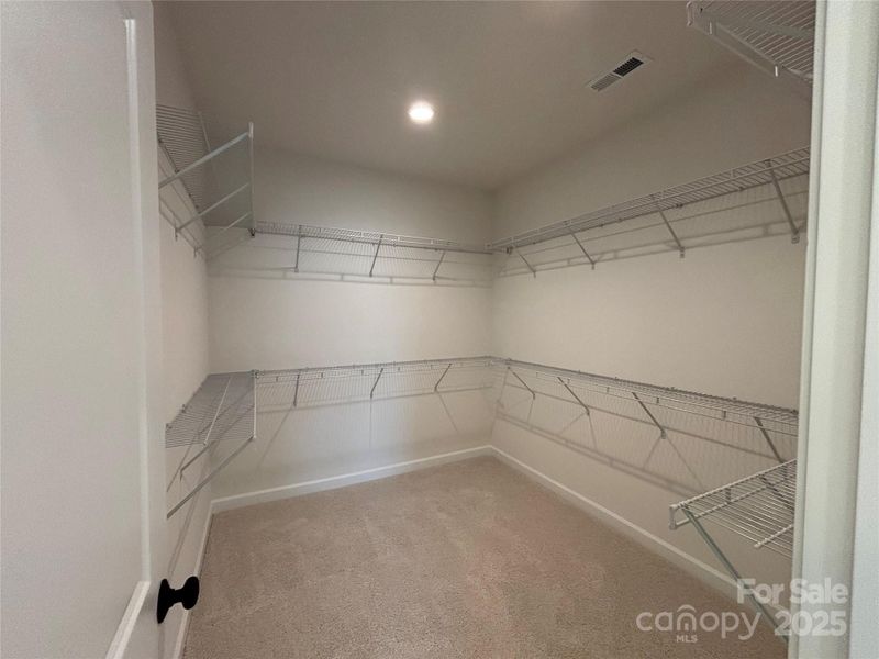 Spacious, unfurnished interior of a new home in Brighton Park, Mount Pleasant (Image 19).