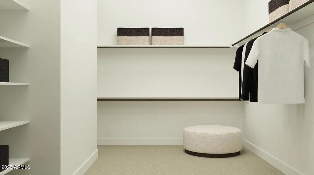 Owners Walk in Closet Owners Walk in Closet