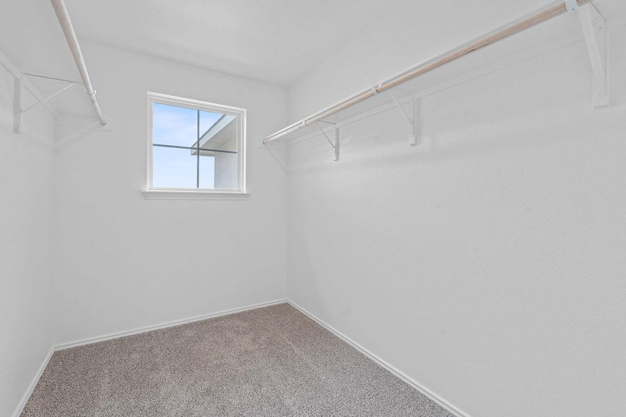 Walk in closet featuring carpet Walk in closet featuring carpet
