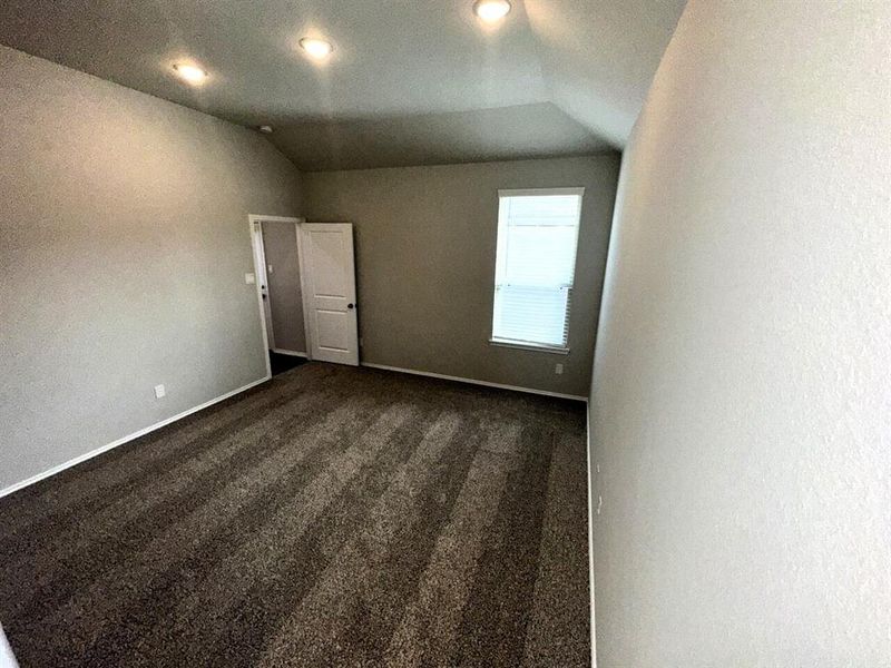 Master bedroom has a high vaulted ceiling